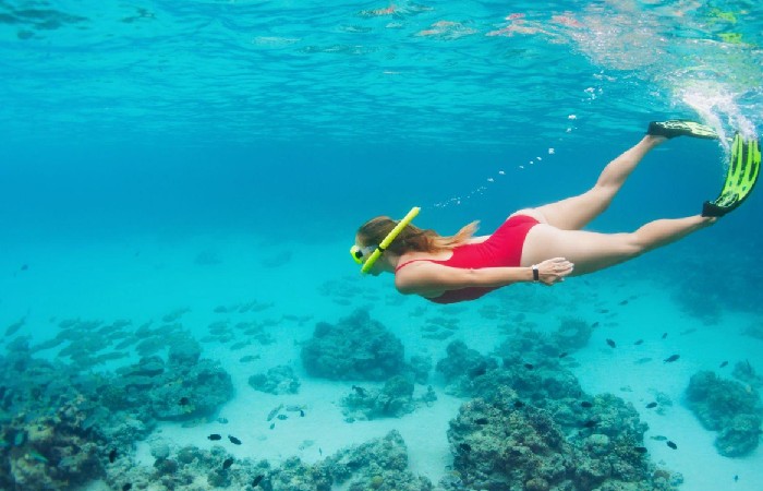 What is Snorkeling